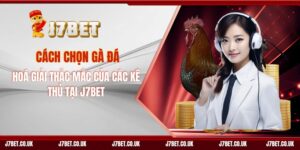 Cách Chọn Gà Đá - Hoá Giải Thắc Mắc Của Các Kê Thủ Tại J7BET