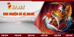 Kinh Nghiệm Đá Gà Online - Mẹo Từ Các Chuyên Gia Đá Gà J7BET