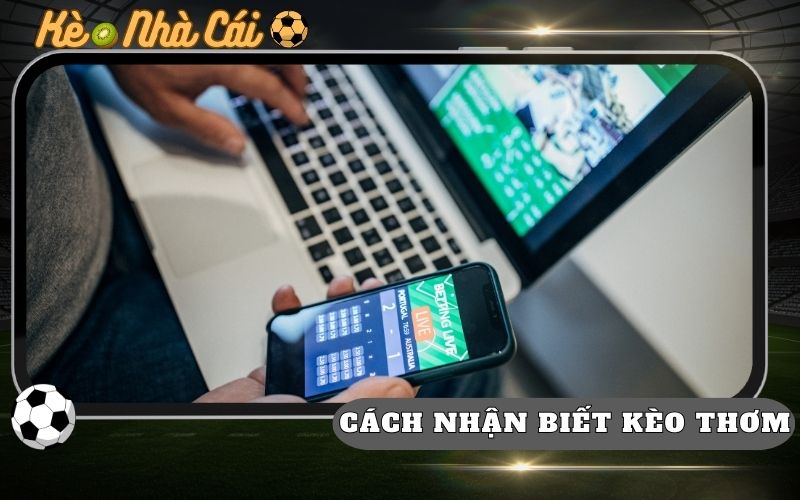 Cách Nhận Biết Kèo Thơm Từ Biến Động Odds Lụm Tiền Nhà Cái 1 Cách Nhận Biết Kèo Thơm Từ Biến Động Odds Lụm Tiền Nhà Cái