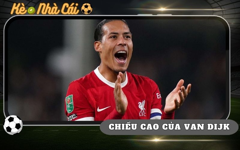 Virgil Van Dijk Cao Bao Nhiêu? Hé Lộ Thể Hình “Khổng Lồ” 1 Virgil Van Dijk Cao Bao Nhieu He Lo The Hinh Khong Lo